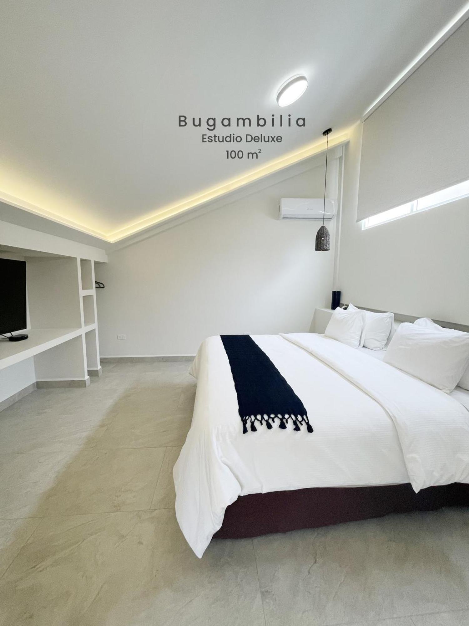 Marisol Hotel Boutique San José del Cabo Zewnętrze zdjęcie